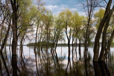 Kyiv 'i sel bastı. Dnipro nehrinin su seviyesini yükseltiyorum.