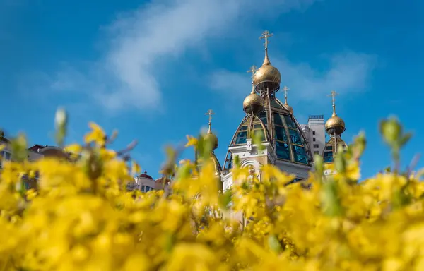 우크라이나 깃발의 하늘과 노란색 버지니아의 배경에 로열티 프리 스톡 사진