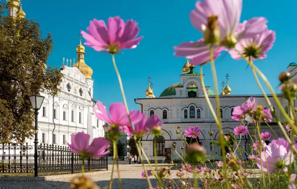 Pembe çiçekli bahar manzarası ve Kyiv Pechersk Lavra 'daki yemekhane kilisesi.
