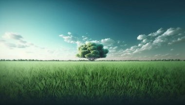 yeşil alan ve mavi gökyüzü, manzara arka planı