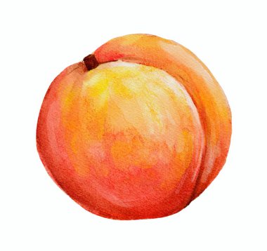 Beyaz zemin üzerine suluboya Kırmızı elma