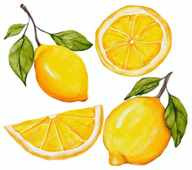 suluboya el çizimi limon.