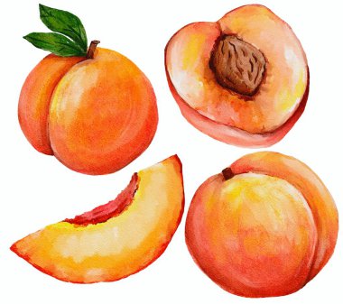 suluboya şeftali ve şeftali