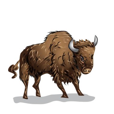 Bizon Memeli Vahşi Yaşam Vektörü İllüstrasyonu