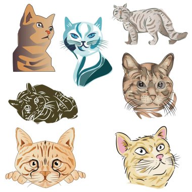 Kedi Vektörü Çizim ve Çizim Ayarları