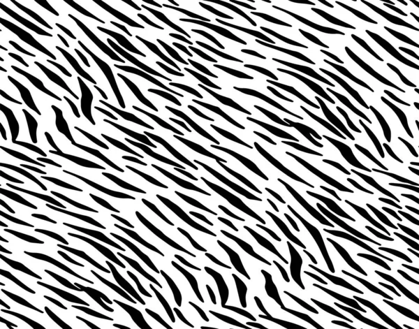 フルシームレスゼブラタイガー着用パターン繊維テクスチャ ベクトルの背景が歪んでいる 女性のための黒と白の動物の皮膚ファブリックプリント — ストックベクタ