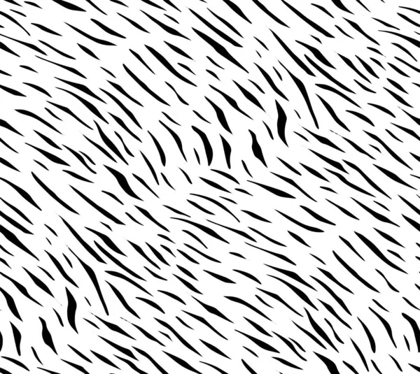 Úplná Bezešvé Zebra Tiger Vzor Textury Pozadí Vektoru Černá Bílá Royalty Free Stock Ilustrace