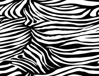Tam Kusursuz Zebra Kaplan desenli Tekstil Doku İzi. Vektör Arkaplanı. İç mekan, giysi, çarşaf, kumaş, kapak, duvar kağıdı, moda, çocuk giyimi için siyah beyaz tasarım.