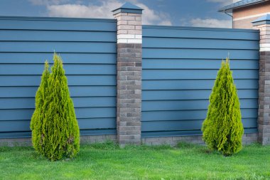 Metal yatay döşemeli mavi çitle çevrili evin önünde thuja ağaçları var..
