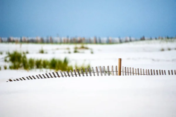 Sand Fencing Help Build Dunes Stock Photo