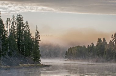 Madison 'da Sabah Buğusu