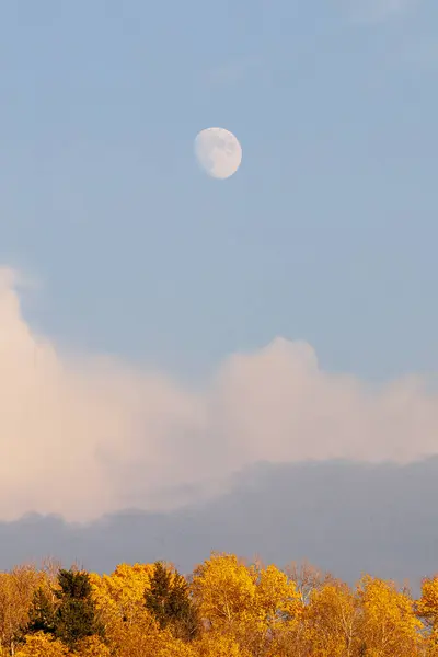 Aspens Nuvens Lua — Fotografia de Stock