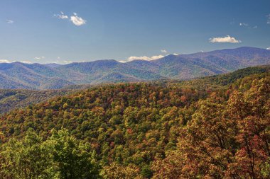  Blue Ridge Parkway boyunca renkli sonbahar yaprakları