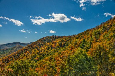 Georgia Hillside 'a Sonbahar Yeşilliği