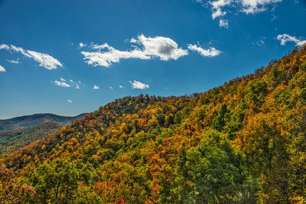 Fall Foliage Georgia Hillside — Stockfoto