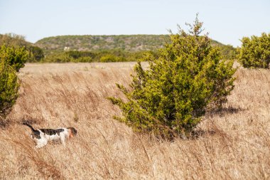 İşaretçi işini yapıyor.