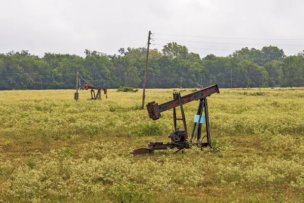 Pump jacks and electric pole in North Louisiana stripper oil field