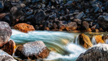 Hızlı Akan Kanada Dağ Akıntısı