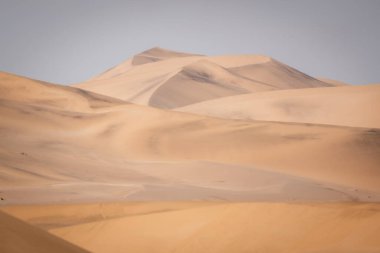 Sarı, turuncu ve kahverengiye benzeyen yumuşak tonlarda, Namib Çölü 'nün kumullarında, Namibya, Swakopmund yakınlarında.