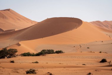 Bir tarafı güneşi, diğer tarafı da Namibya Sossusvlei 'de gölgede tutan devasa bir kum tepesi.
