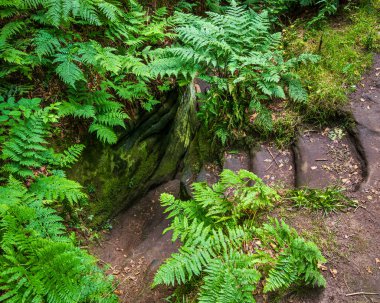 Heading down the winding set of steps carved into the rocks many etchings such as Celtic crosses, human faces and other mystical symbols are carved into the rocks clipart