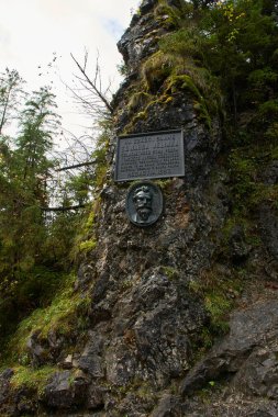 Dağın tepesinin manzarası. Orman, devrilmiş ağaçlar