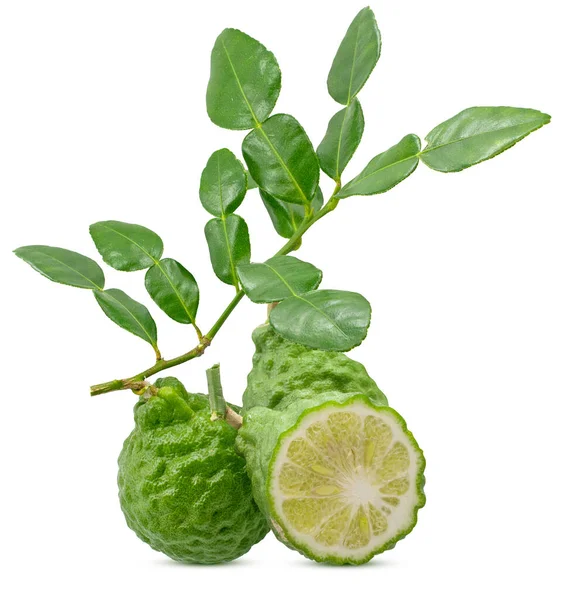Bergamot Vruchten Met Blad Geïsoleerd Witte Achtergrond — Stockfoto
