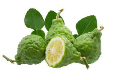 Beyaz arkaplanda limon veya Bergamot meyveleri izole