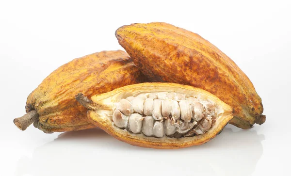 Cacaovruchten Cacaovruchten Geïsoleerd Witte Achtergrond Stockafbeelding