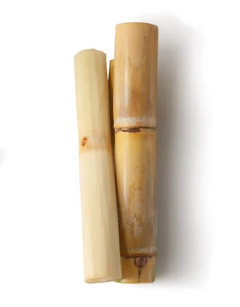 Sugar Cane Isolated White Background — Stock Photo, Image