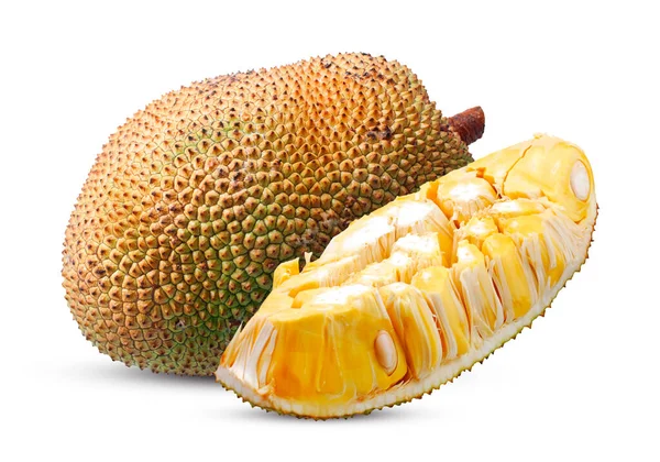 Single Object Van Jackfruit Geïsoleerd Witte Achtergrond Stockfoto