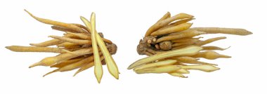 Parmak kökü ya da Çin Ginger beyaz arka planda. jpg