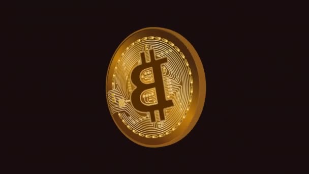 Bitcoin Gouden Munt Roterende 360 Graden Turn Animatie Alpha Kanaal — Stockvideo