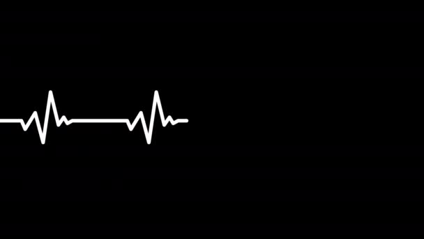 Kalp Atışı Nabız Animasyon Alfa Kanalı Elektrokardiyogram Kalp Atış Hızı — Stok video