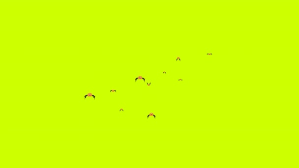 Halloween Pumpkins Fliegende Animation Auf Grünem Bildschirm Niedliche Cartoon Smiley — Stockvideo