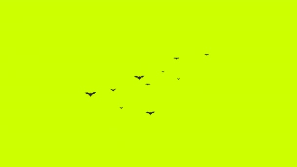 Halloween Fladdermöss Flying Animation Grön Skärm Söt Tecknad Crowd Fladdermus — Stockvideo