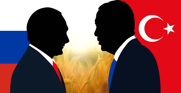 2023 대통령 에르도안과 러시아 대통령 블라디미르 푸틴의 밀밭의 배경과 터키와 — 스톡 사진