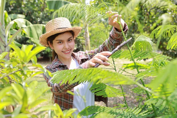 Happy Beautiful Asian Agronomist Woman Farmer Takes Care Agriculture Field — Stock Photo, Image