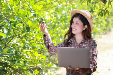 Asyalı tarımcı ya da kadın çiftçi rapor okuyor ve tarım alanındaki verileri artırmak için bilgisayardan artan ekin verilerini inceliyor, teknoloji kavramına sahip modern akıllı çiftçilik