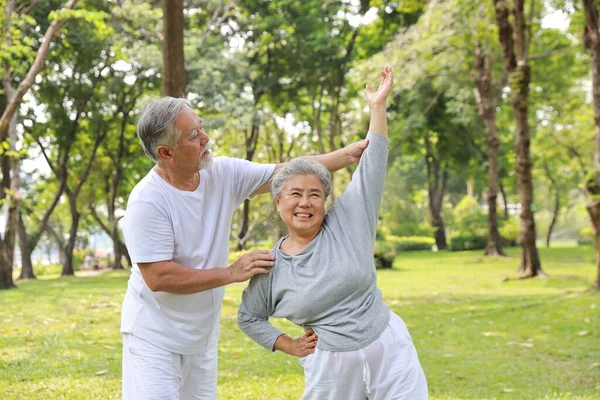 Asiatico Anziani Coppia Pratica Yoga Esercizio Tai Chi Tranining Stretching — Foto Stock
