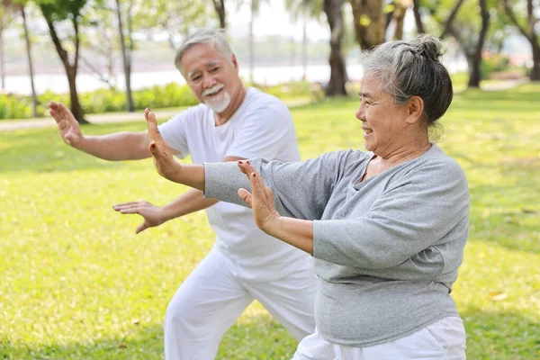 Azjatycka Para Seniorów Ćwiczyć Jogę Ćwiczenia Tai Chi Tranining Rozciąganie — Zdjęcie stockowe