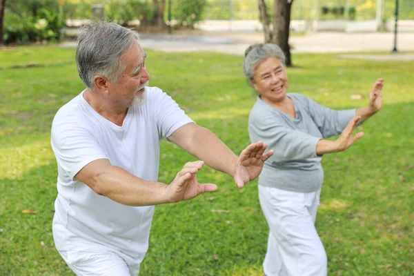 Азиатские Старшие Пары Практикуют Йогу Упражнения Тай Траннинга Растяжения Медитации — стоковое фото