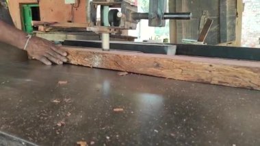 Ağaç kesme işleminin devam ettiği kereste fabrikasındaki orman tahribatının video görüntüleri. Doğaya karşı bir suç..