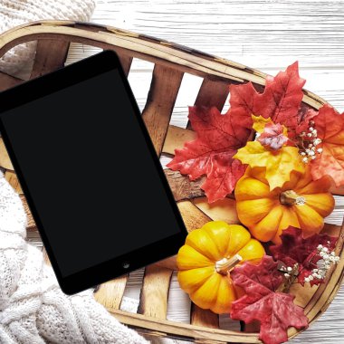 Tahtada balkabakları ve ipad olan sonbahar arkaplanı