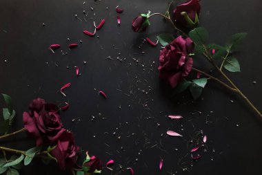 Siyah arka planda siyah ve pembe çiçekler. Üst Manzara. Boşluğu kopyala