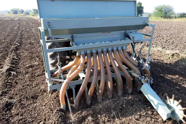 用拖拉机播种大蒜 在地里种植大蒜丁香的过程 春秋农业的概念 — 图库照片