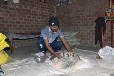 09-12-2021 Indore, Madhya Pradesh, Hindistan. Hintli çiftçi gübre elementlerini evde gübreye karıştırıyor. seçici odak