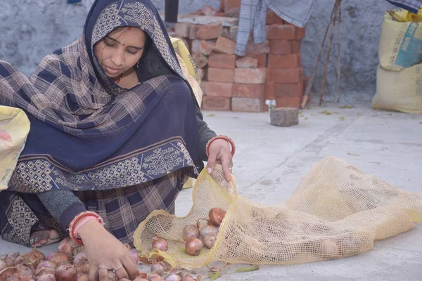 An Indian village woman in a sari sorts old onions on the terrace. blur background