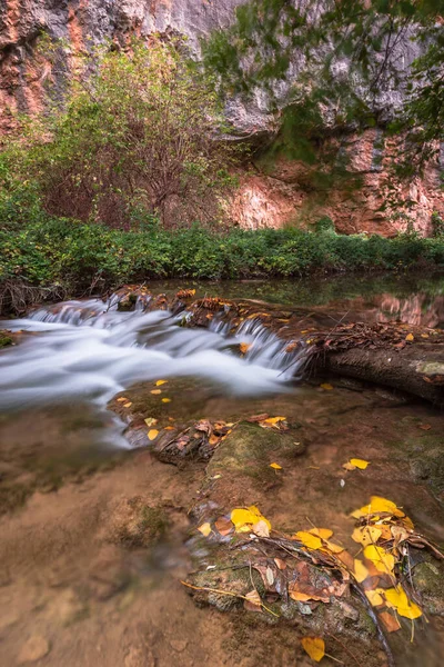 秋天的风景在河上 长期暴露 水丝效果 珍贵的黄叶 — 图库照片