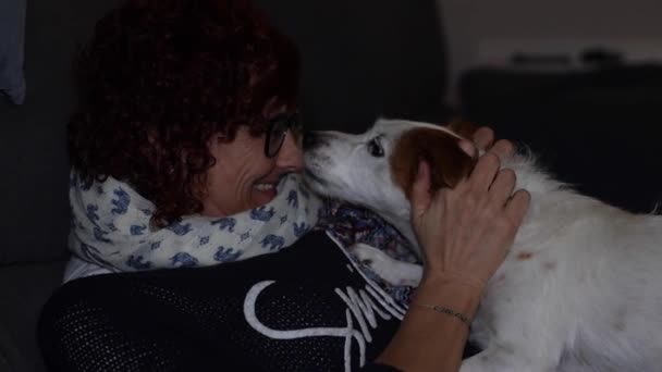 Γυναίκα Σκύλο Της Στοργική Στάση Σκύλος Γλείφει Μύτη Της — Αρχείο Βίντεο